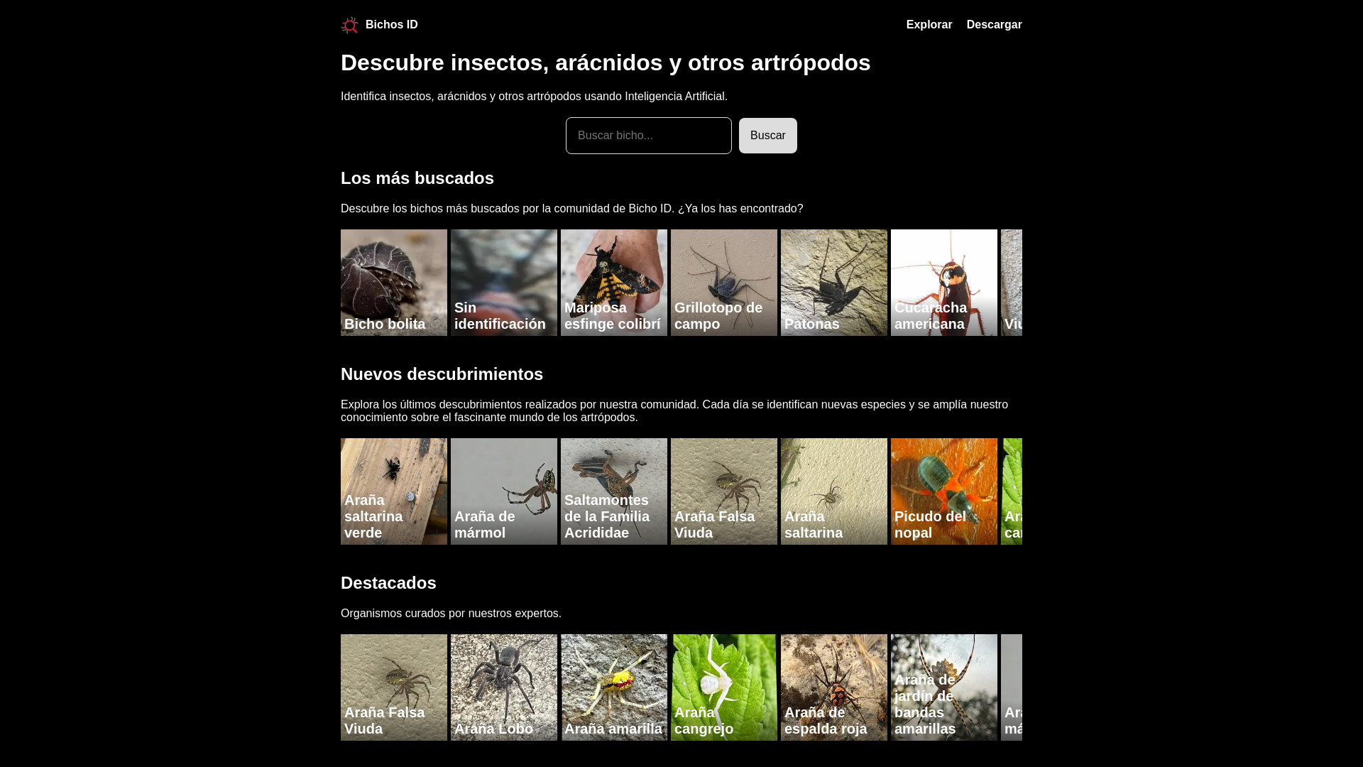 Bugs de identificação Fucesa