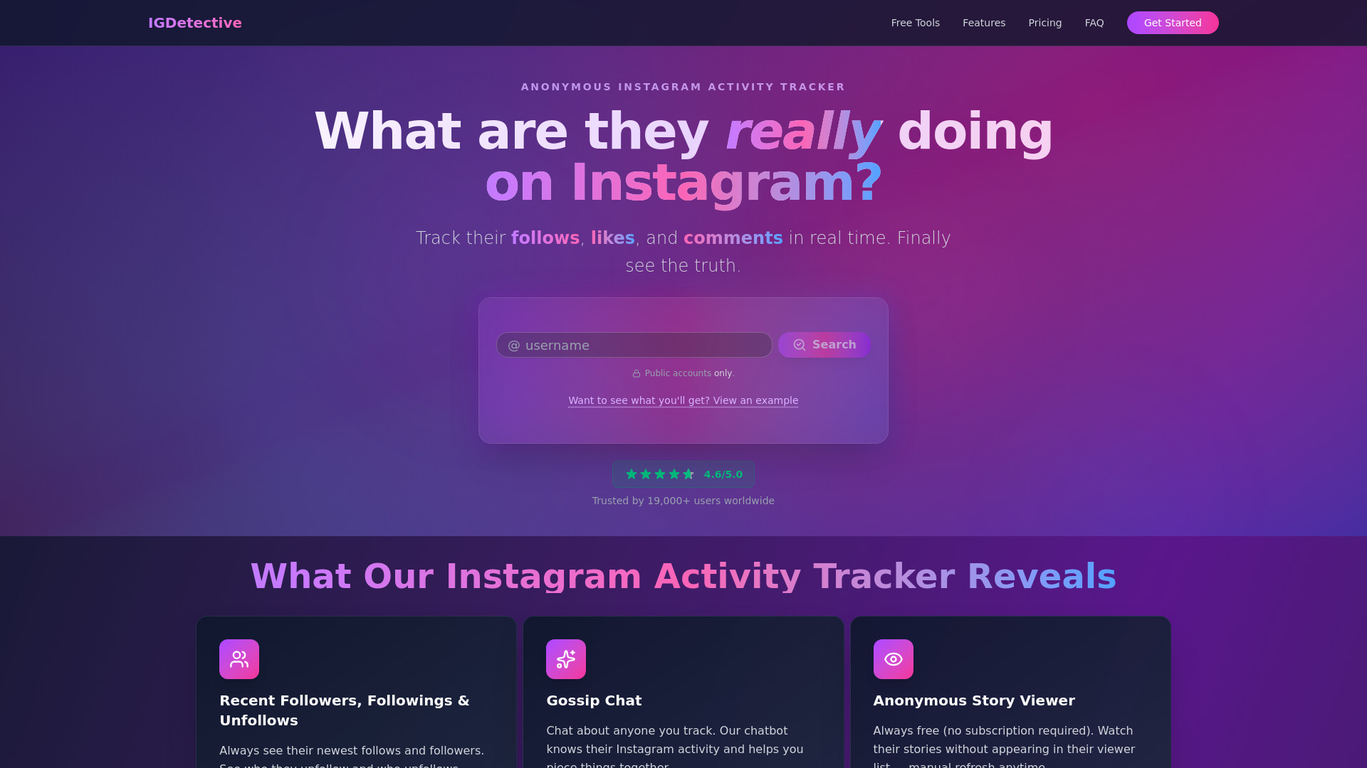 IGDetective
