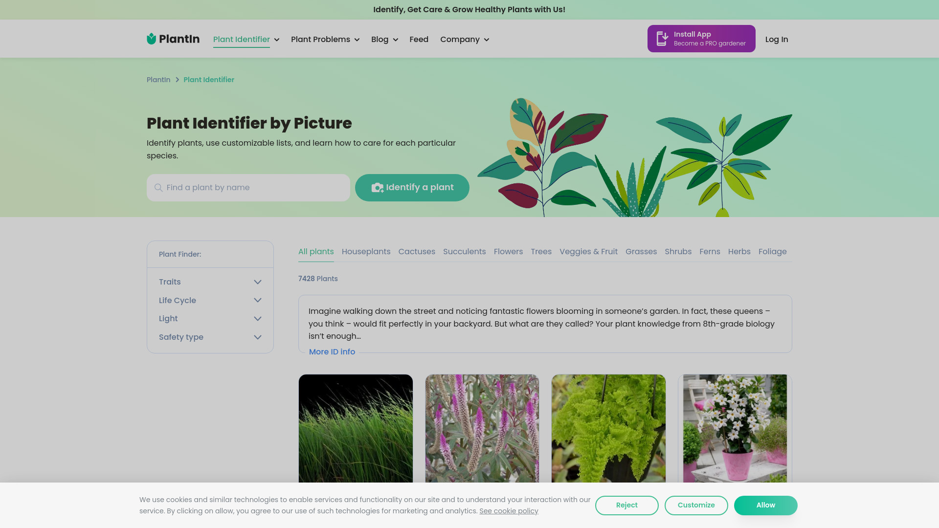 PlantIn plant care identifier