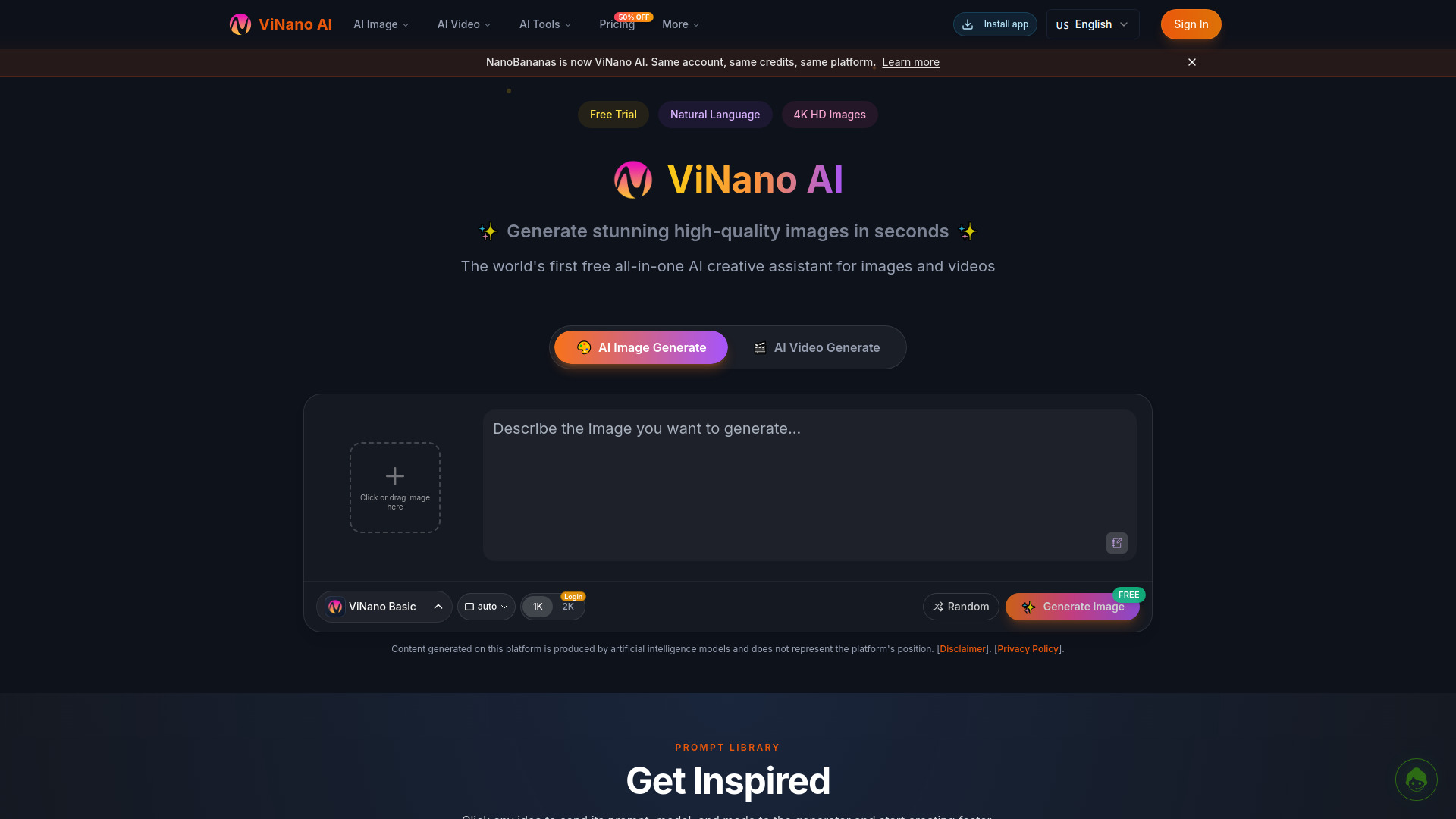 ViNano AI