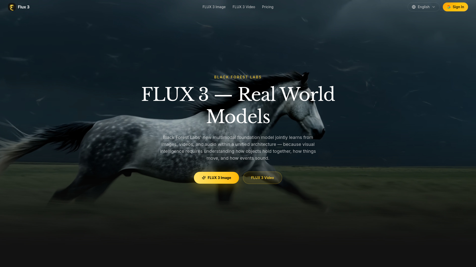 FLUX 3 - dev