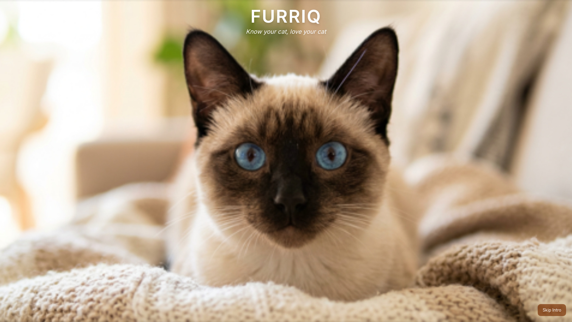 Furriq