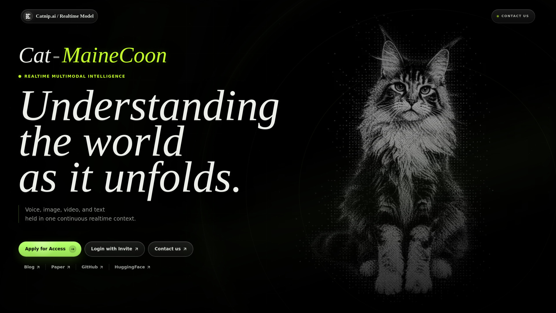 IA do MaineCoon