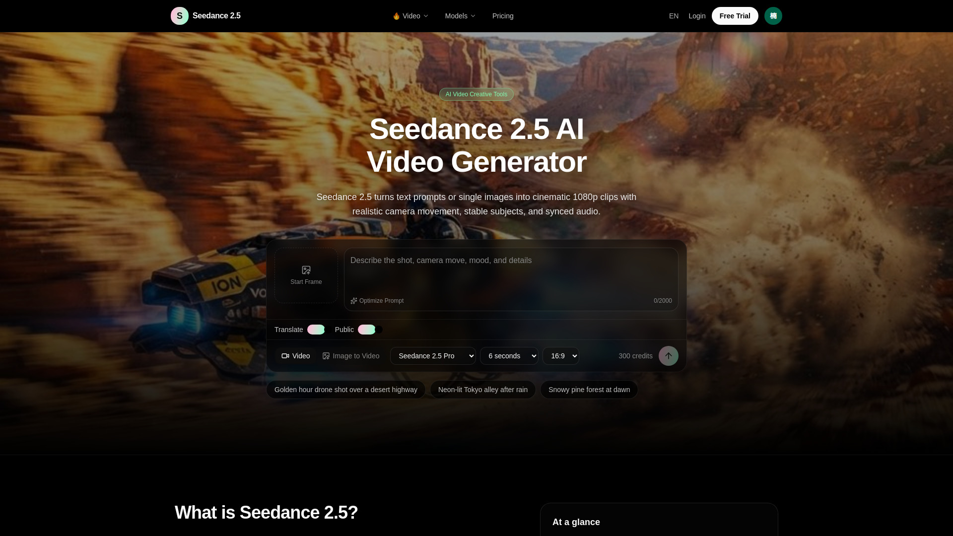 Seedance 2.5 -top
