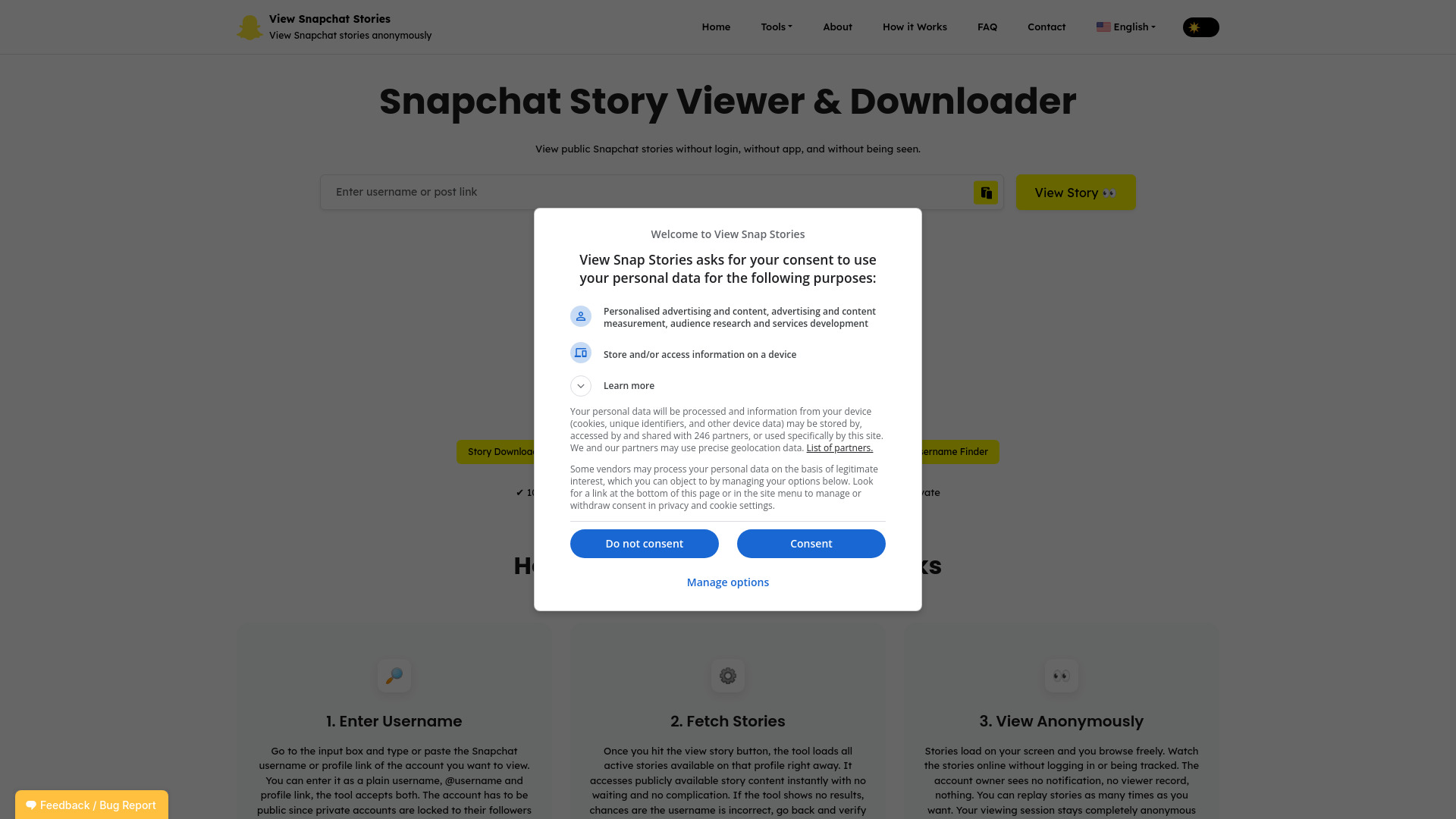 Snapchat Story Viewer and Video Downloader