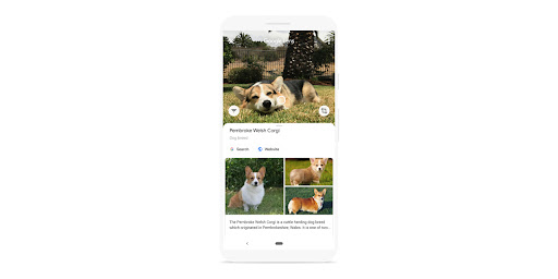 Sokratisch von Google