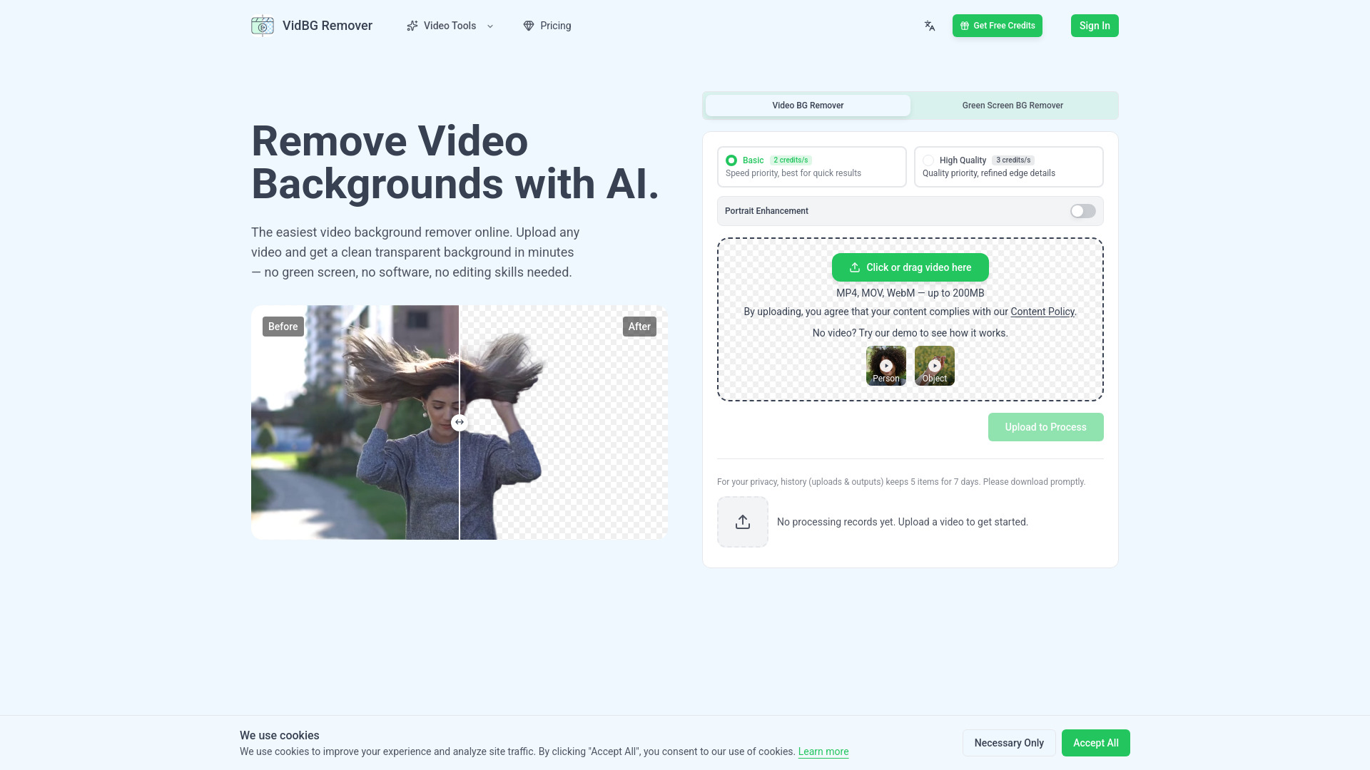VidBG Remover